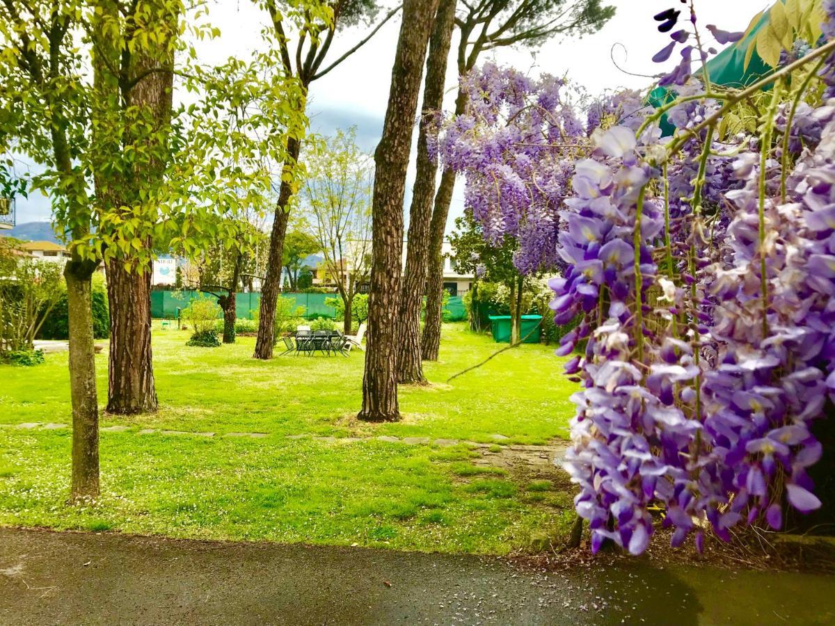 Benedetta Bed & Breakfast Cantagrillo